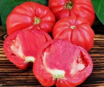 Томат Бифштекс Альби / Beefsteak Albi 5 шт