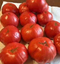Томат Розовый гигант Явена / Gigante Rosa di Giaveno 5 шт